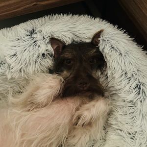 Meet your Posher, Marisol